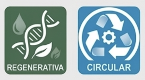 mejores-negocios-emprender-solucion-transformacion-residuos-k2-group-corp