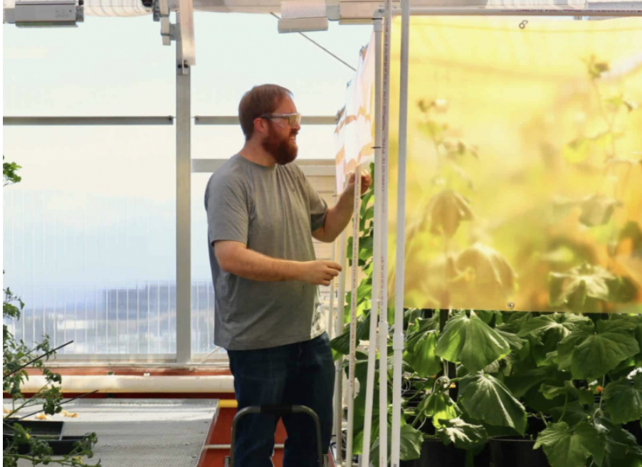 mejores-negocios-emprender-ubigro-k2-group-corp